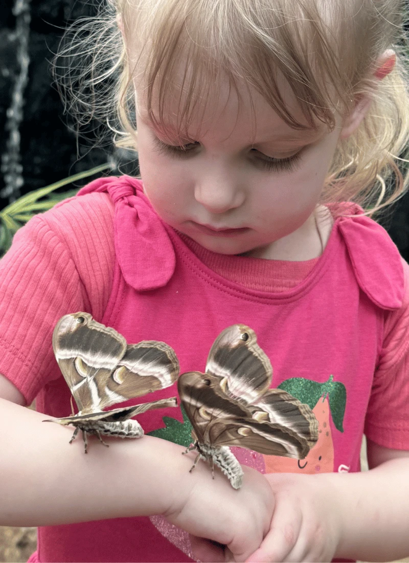 Parque de mariposas para niños
